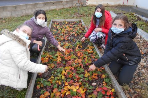 5D au jardin décembre 2020 (12)